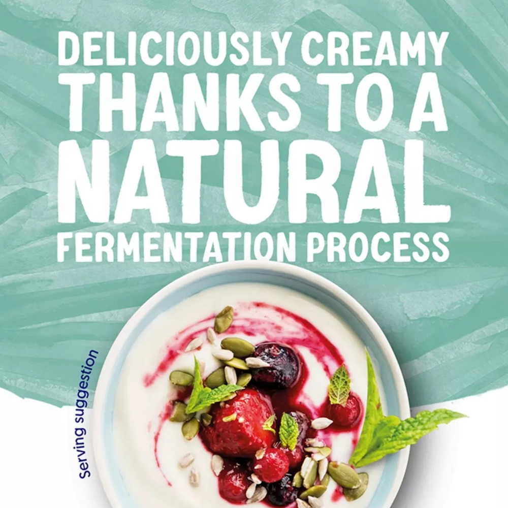 ALPRO PLANT BASED COCONUT YOGURT x 500g
