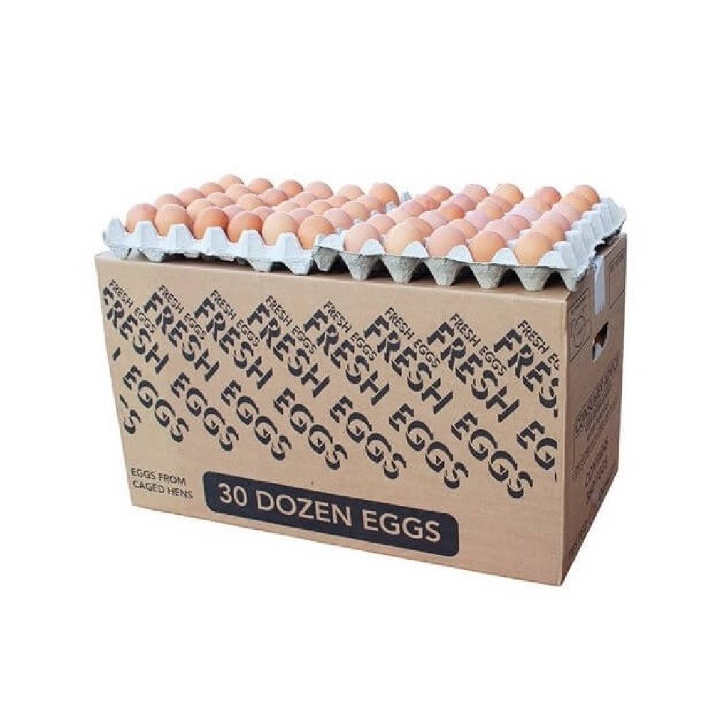 FRESH EGGS MEDIUM x 360u