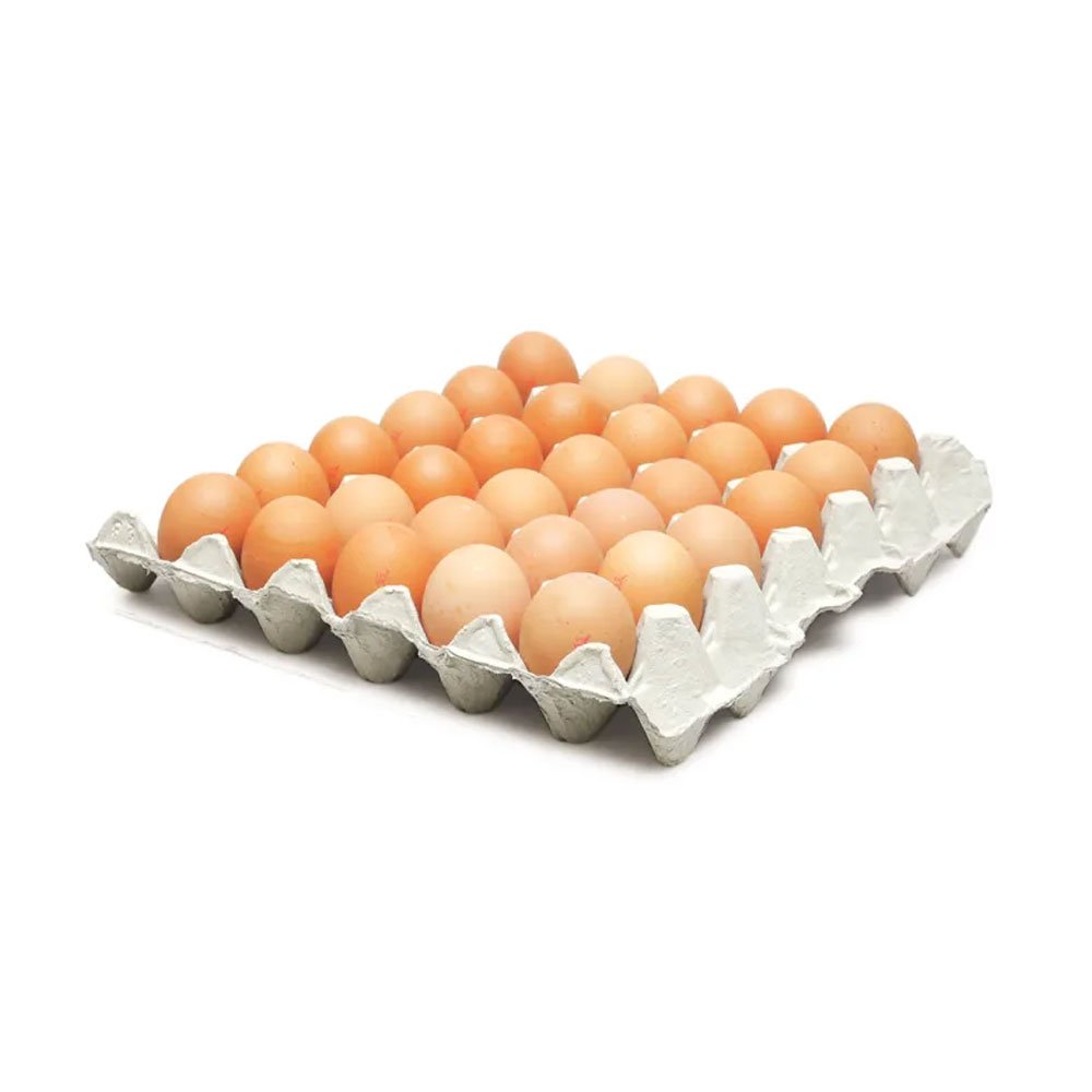 LION STAMP FRESH EGGS MEDIUM FREE RANGE x 180u