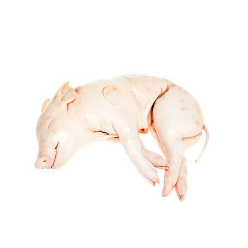 FZ SUCKLING PIG 5-6kg, Cochinillo (per kg)