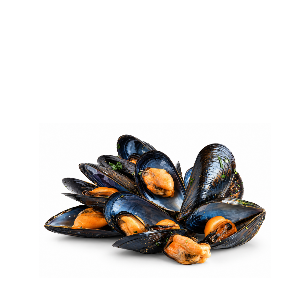 FZ COOKED SHELL MUSSELS 20-40 x 1kg