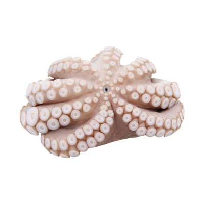 FZ WHOLE RAW MOYSEAFOOD PULPO (3kg-4kg) (Per kg)