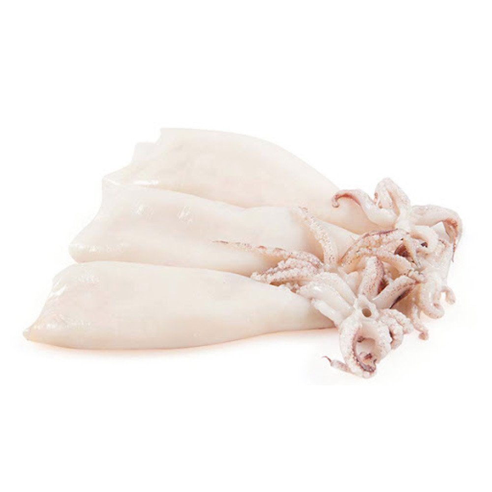 FZ SQUID, CALAMAR PATAGONICO CLEAN x 1kg