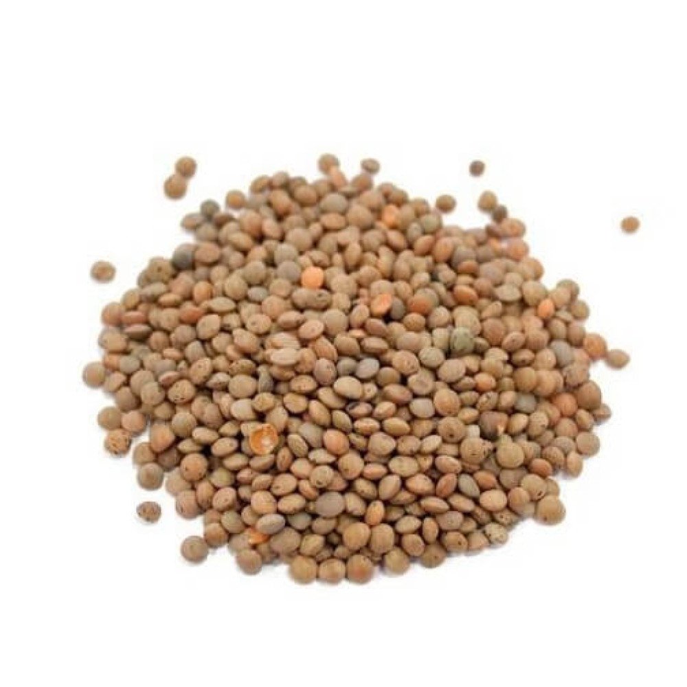 BROWN LENTIL, MASOOR WHOLE x 25kg